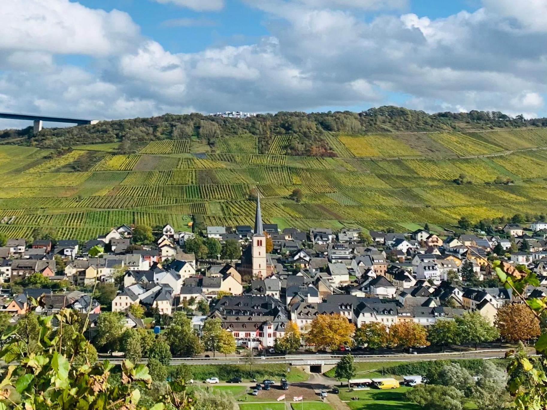 فندق Weinhof Michael Morbach زلتنغن راختخ المظهر الخارجي الصورة